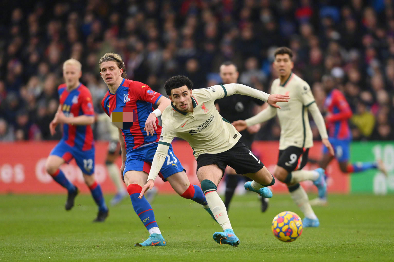 年轻球员包 年轻球员包